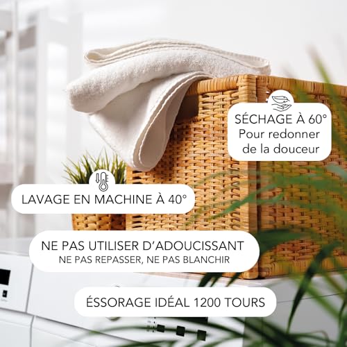 SLEEPZEN SERV-Parent