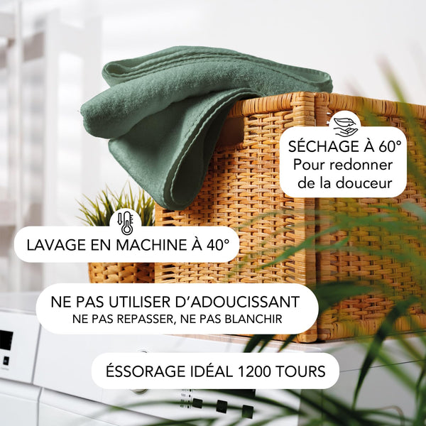 SLEEPZEN Lot de 2 Tapis de Bain 50x80cm Green Bay - 100% Coton Bio Certifié GOTS 800gr/m2 - Tapis Salle de Bain - Tapis Absorbant, 3 Couleurs, Lavable en Machine - Très Doux, Moelleux, Épais